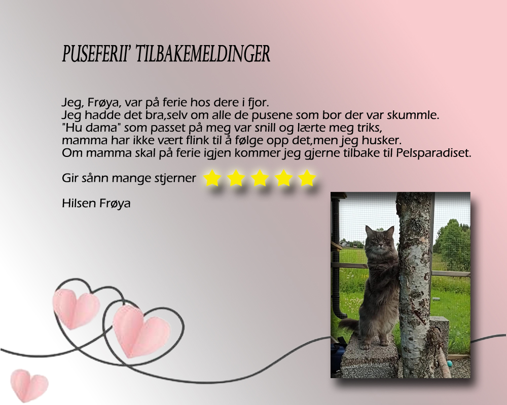 Frøya puseferii