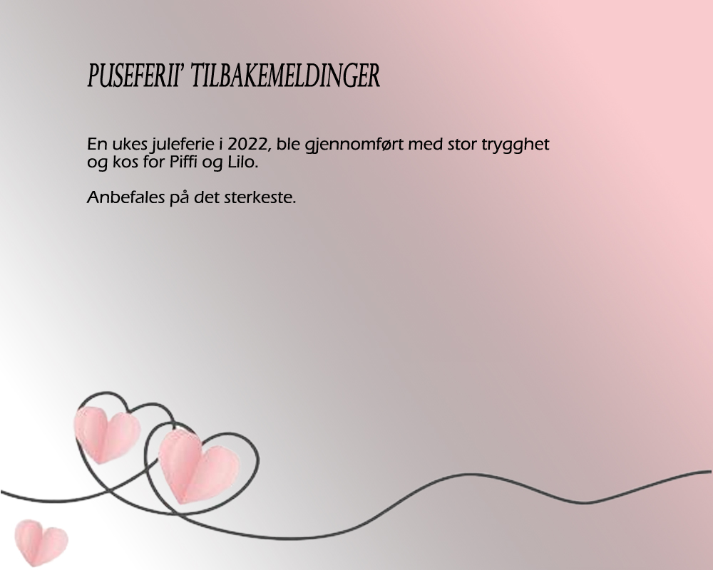 Piffi og Lilo Puseferii
